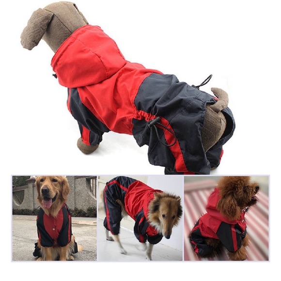 Dog raincoats xl - Picture 5 of 6